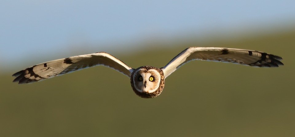 Boost Site Speed: Pagespeed Insights Guide 3 Seo