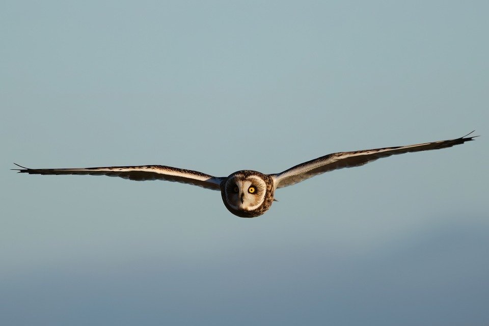 Boost Site Speed with PageSpeed Insights 2 Seo