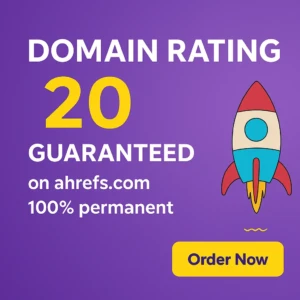 Domain Rating 20 Guaranteed - $599 One-Time